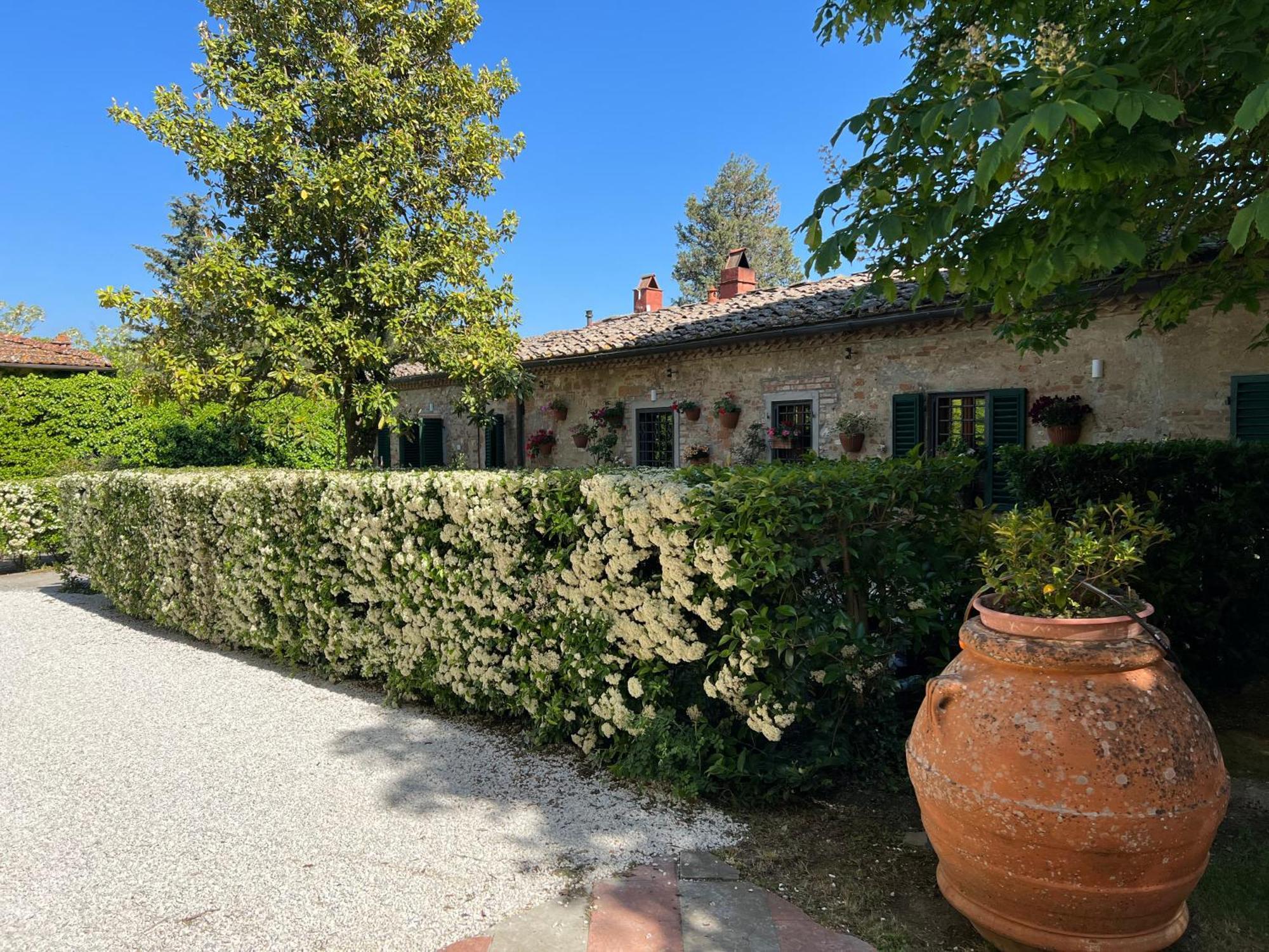 Agriturismo Bio Fattoria Bacio Certaldo Kültér fotó