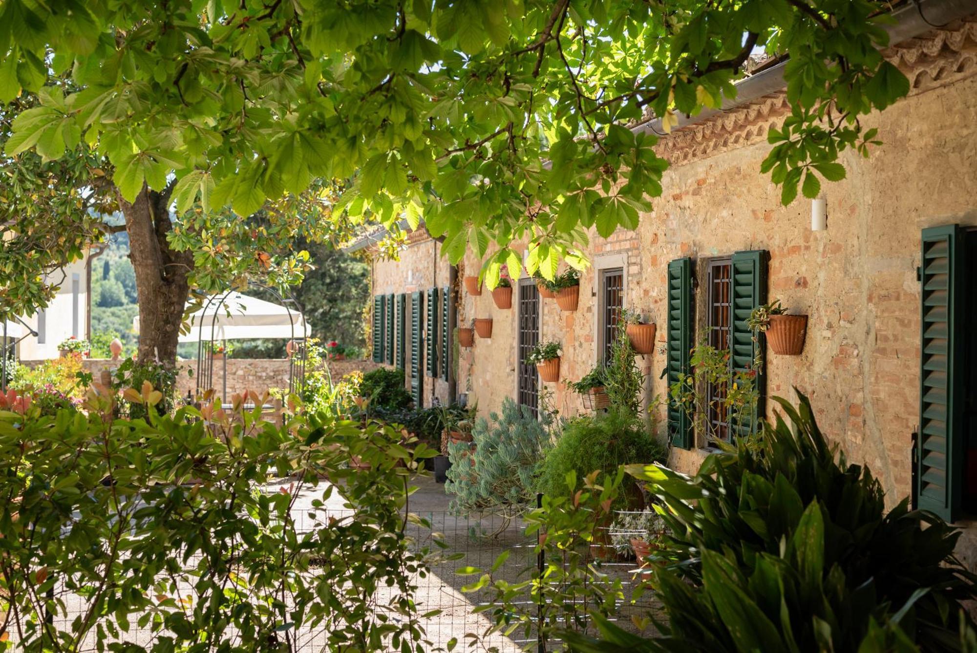 Agriturismo Bio Fattoria Bacio Certaldo Kültér fotó