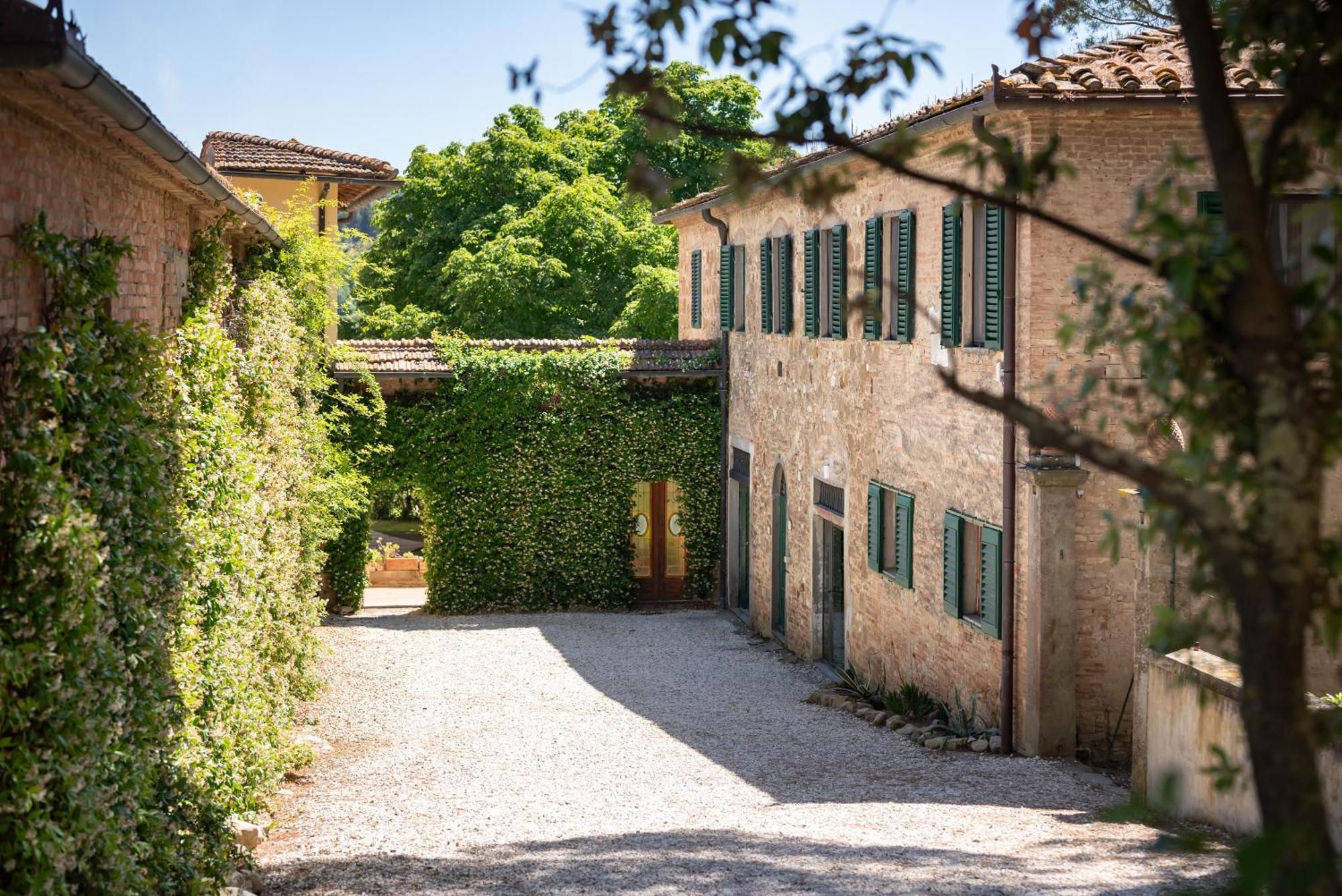 Agriturismo Bio Fattoria Bacio Certaldo Kültér fotó